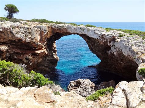 excursin cova des coloms mallorca|Sea Caving Excursion into the Cova des Coloms, in。